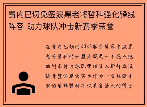 费内巴切免签波黑老将哲科强化锋线阵容 助力球队冲击新赛季荣誉